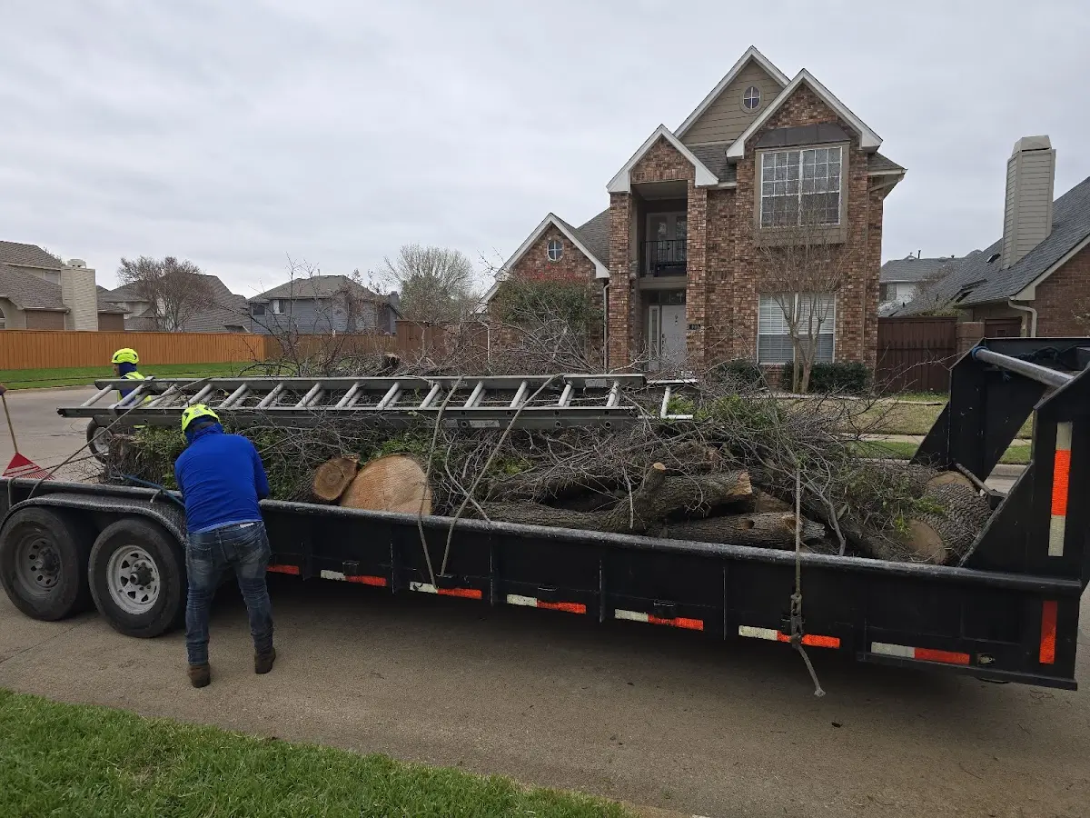 Expert Tree Fertilization with proper safety equipment in Spanishburg